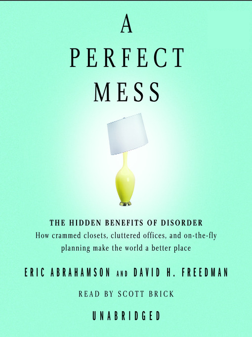 Title details for A Perfect Mess by Eric Abrahamson - Wait list